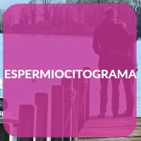 ANALISIS DEL SEMEN ESPERMIOCITOGRAMA CLINICA DE INSEMINACIÓN