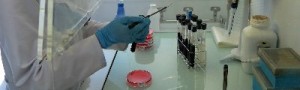 Diagnostico preimplatatorio inseminacion asistida españa