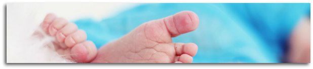 Fecundacion en vitro granada españa andalucia