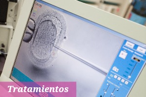 la mejor Inseminacion artificial asistida españa