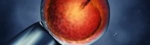tratamiento de inseminacion por eclosion asistido españa