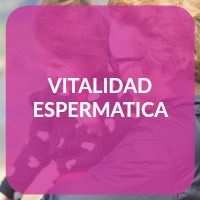 vitalidad espermatica inseminación artificial invitro españa